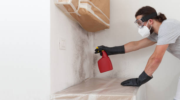 Professional Bathroom Mold Removal technician working in Arlington, NY
